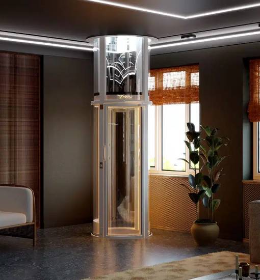 Top Choice for House Elevators